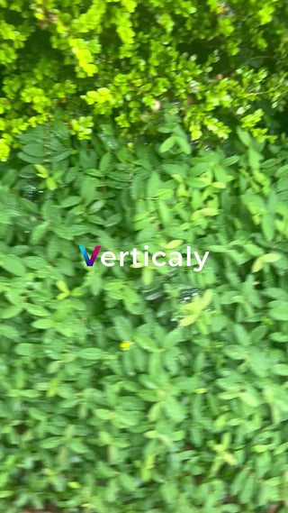 緑の中で安らぐ時間