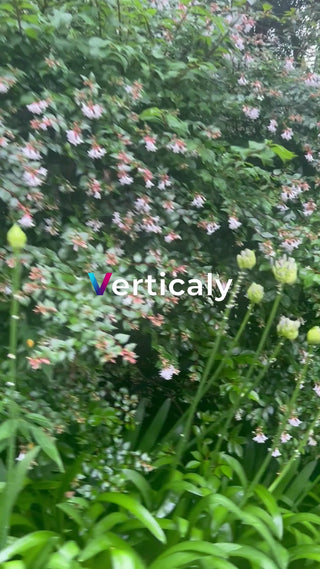 新緑と花咲くガーデン