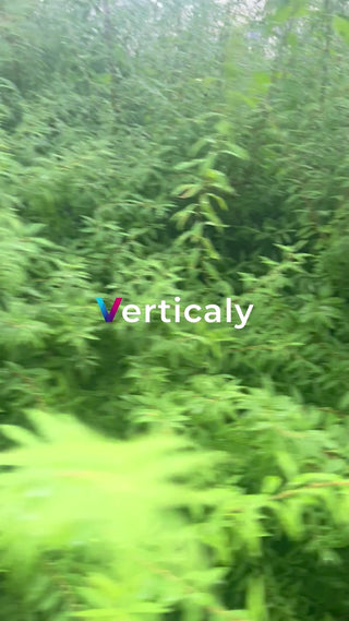 緑豊かな草木の風景