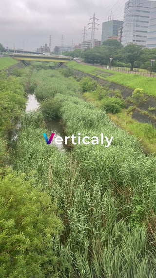 川沿いの風景、緑豊かな景色