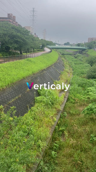 緑豊かな川沿いの風景