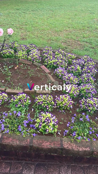 花咲く庭園の風景