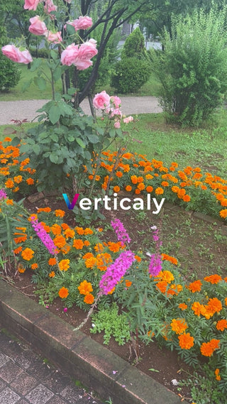 色とりどりの花と緑