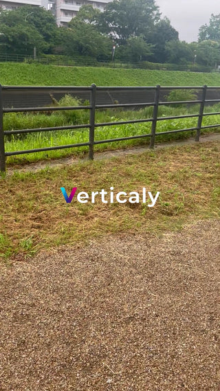 緑豊かな公園の風景