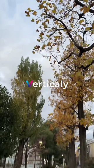 秋の並木道、夕暮れ時