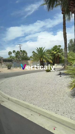 ヤシの木と青空の下、散歩