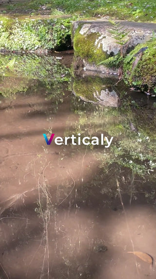 水辺の風景、静寂の世界