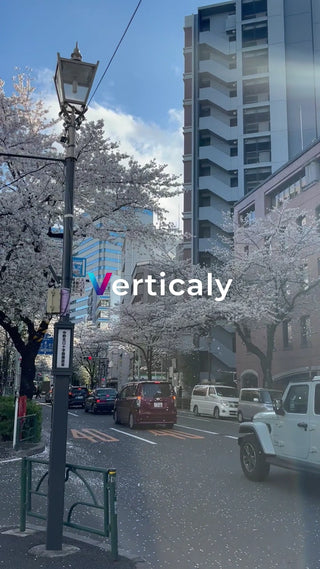 桜並木の街並み、春の風景