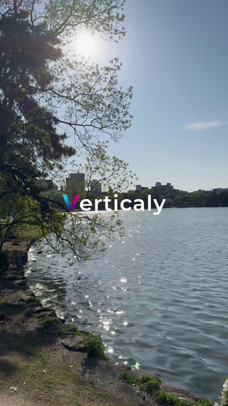 水辺の輝き、木漏れ日の中で