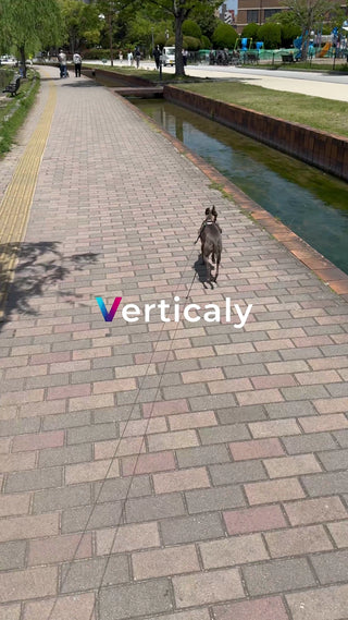 公園散歩、愛犬と一緒