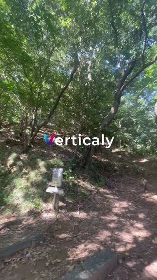 新緑の公園散歩