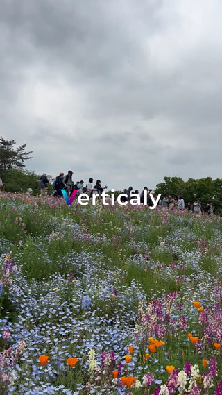 花咲く丘でピクニック