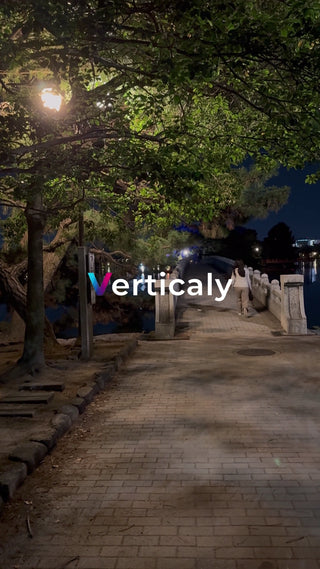 夜の公園、石畳の道を行く