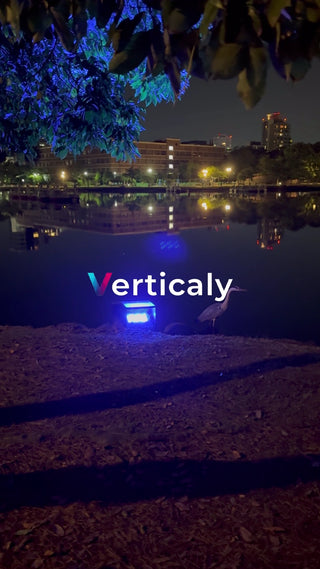 水辺の夕暮れ、鳥の佇まい