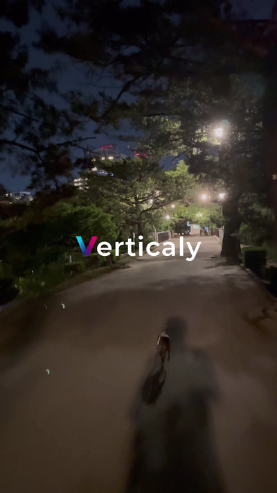 夜の公園を歩く