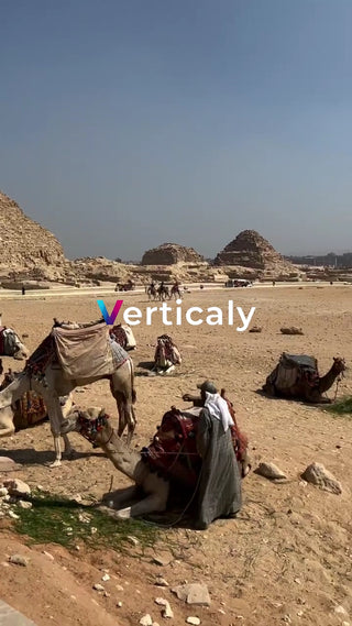 エジプト、ラクダとピラミッド