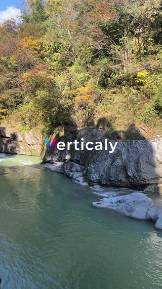 清流と自然、夏の風景