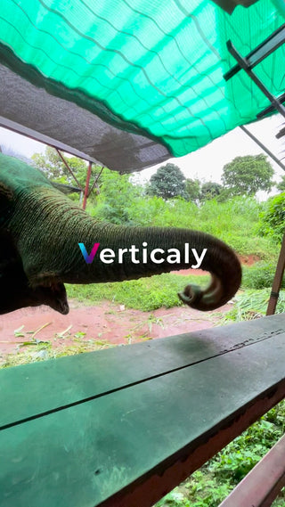 象の鼻、優雅な曲線