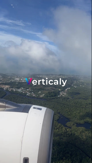 飛行機からの景色、緑豊かな大地