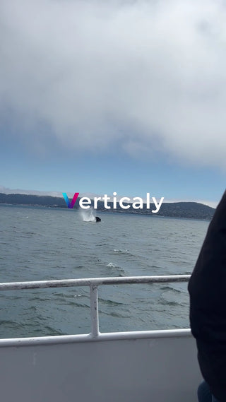 海でジャンプするクジラ