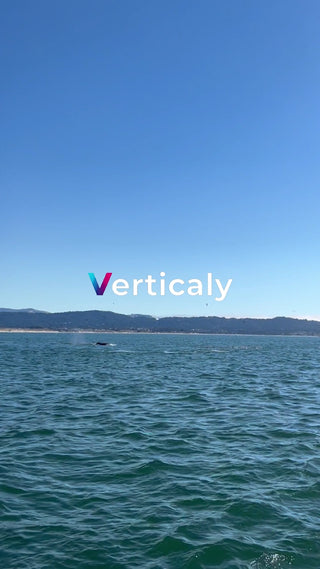 海辺をゆく小さな影