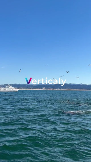 海とカモメ、爽やかな風景