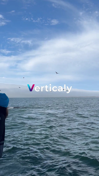 海と鳥、穏やかな時間