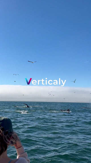 鯨と鳥、青空の下