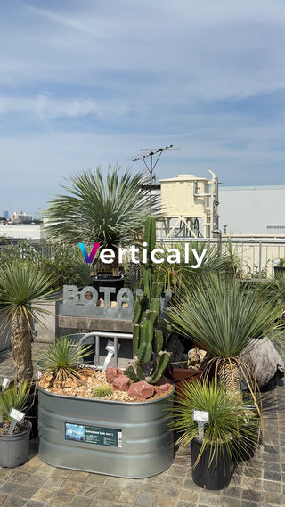 植物のある空間