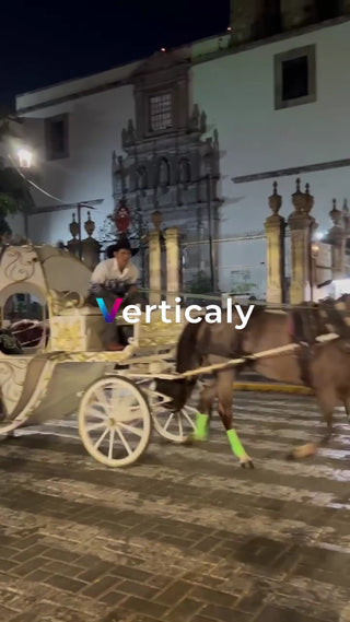 馬車が行く夜の街並み