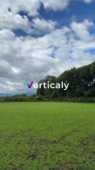 広大な緑地、晴れ渡る空