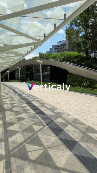 都会の緑、午後の散歩道