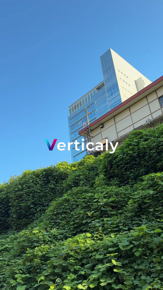 緑豊かな丘と青空