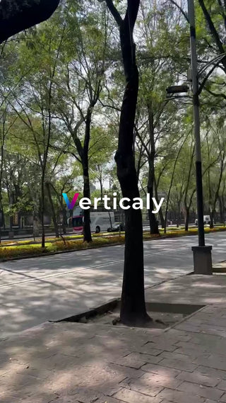 都会の並木道、木漏れ日の中