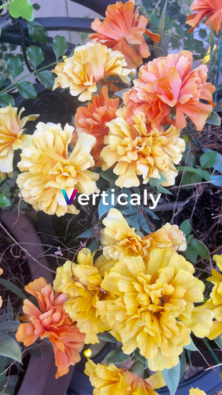 色とりどりの花々、春の庭