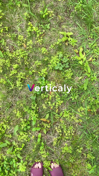 芝生に寝転ぶ足元