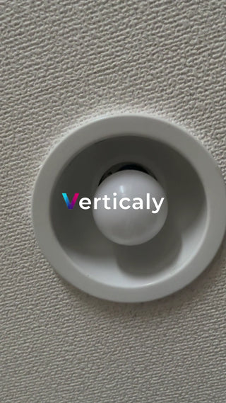 incandescent light bulb