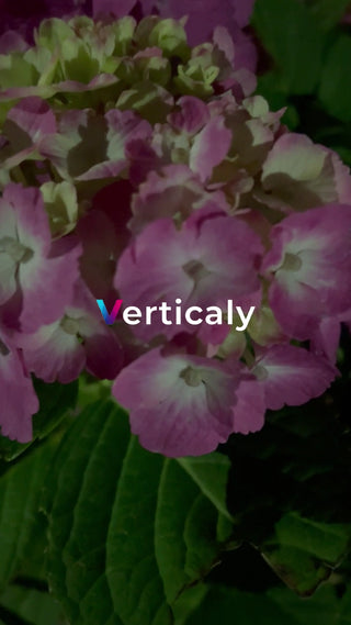 ピンクの花、咲き誇る