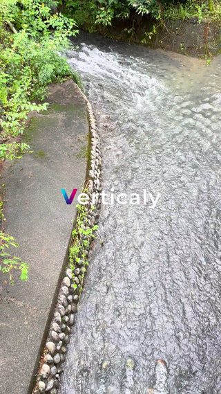 清流沿いの石垣と植物