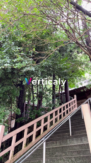 階段を上る、木漏れ日の午後