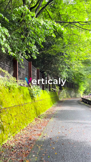 緑豊かな並木道、散歩道