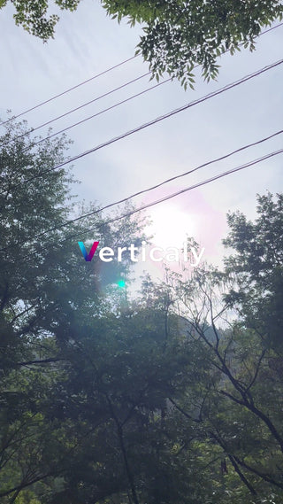 木漏れ日、空を見上げて