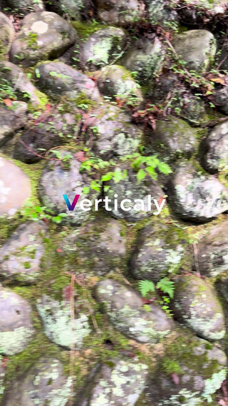 石畳と緑、静かな情景