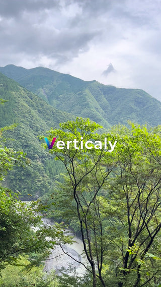 緑豊かな山々と雲海