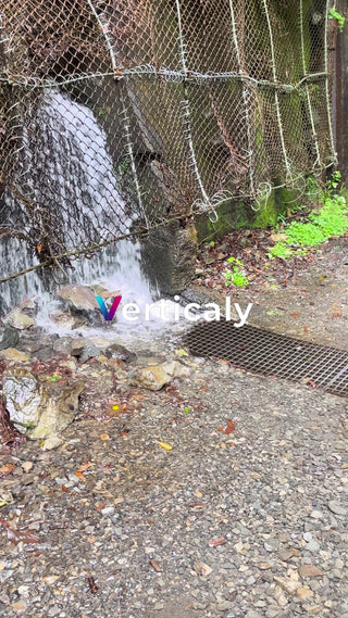 せせらぎ、水しぶきと緑