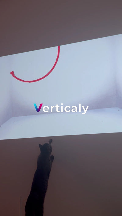 猫が指さす光