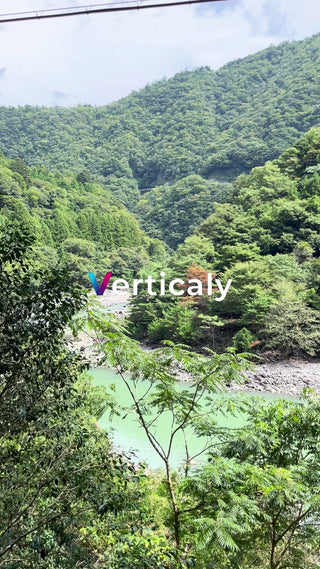 緑豊かな渓谷の風景