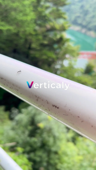 白い手すりの上の蟻