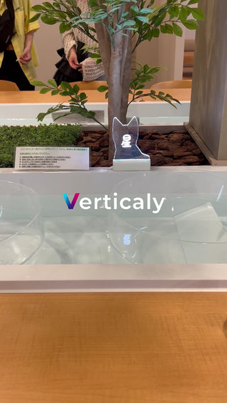 Cat lamps and a relaxing space