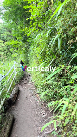 緑豊かな小道を歩く